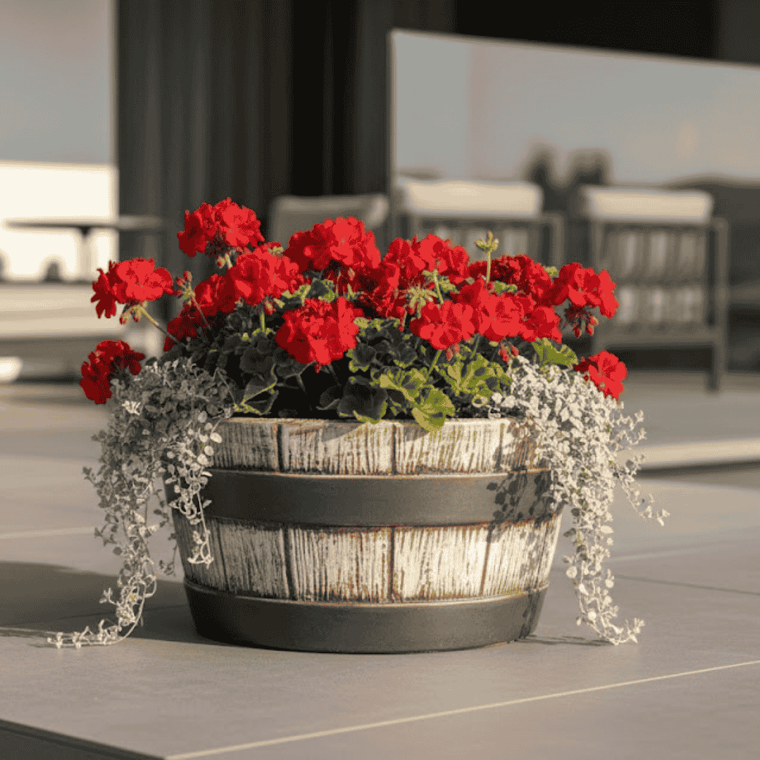 Nízký keramický sud s letní výsadbou